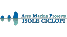 Immersioni in area marina protetta Isole Ciclopi