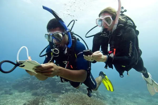 Bussola Subacquea, Strumenti per immersioni