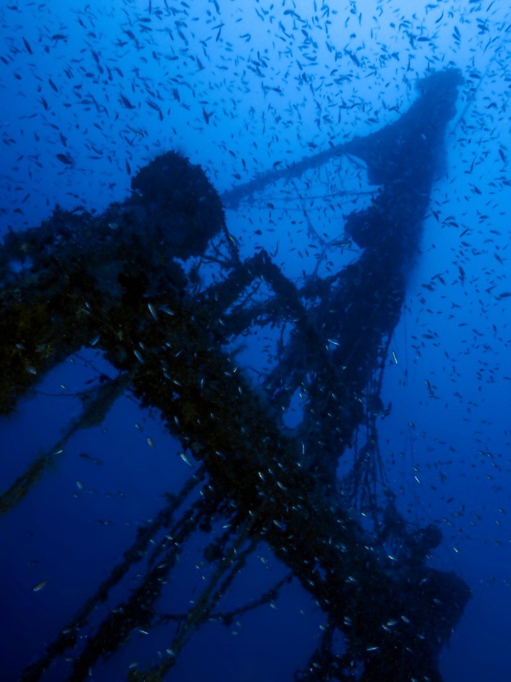 Wreck Diver